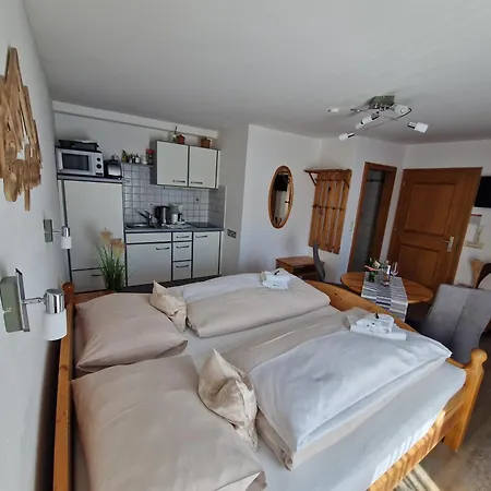 Haus Sonnenheim Apartment Zell am See